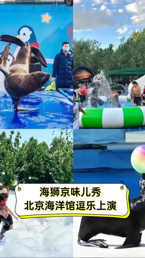 admin 第7页
